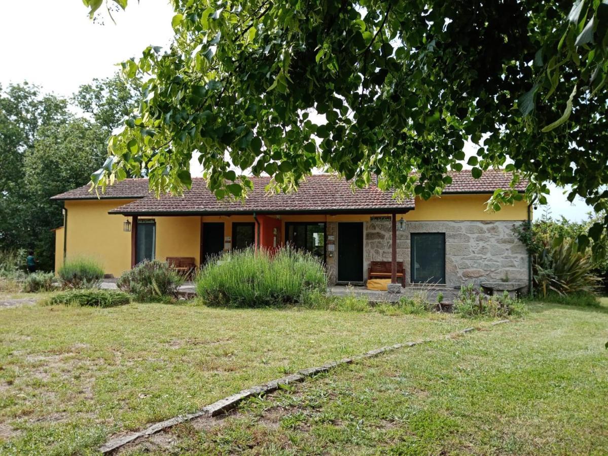 Casa Das Palmeiras-Pedagogic Farm Mangualde Eksteriør bilde