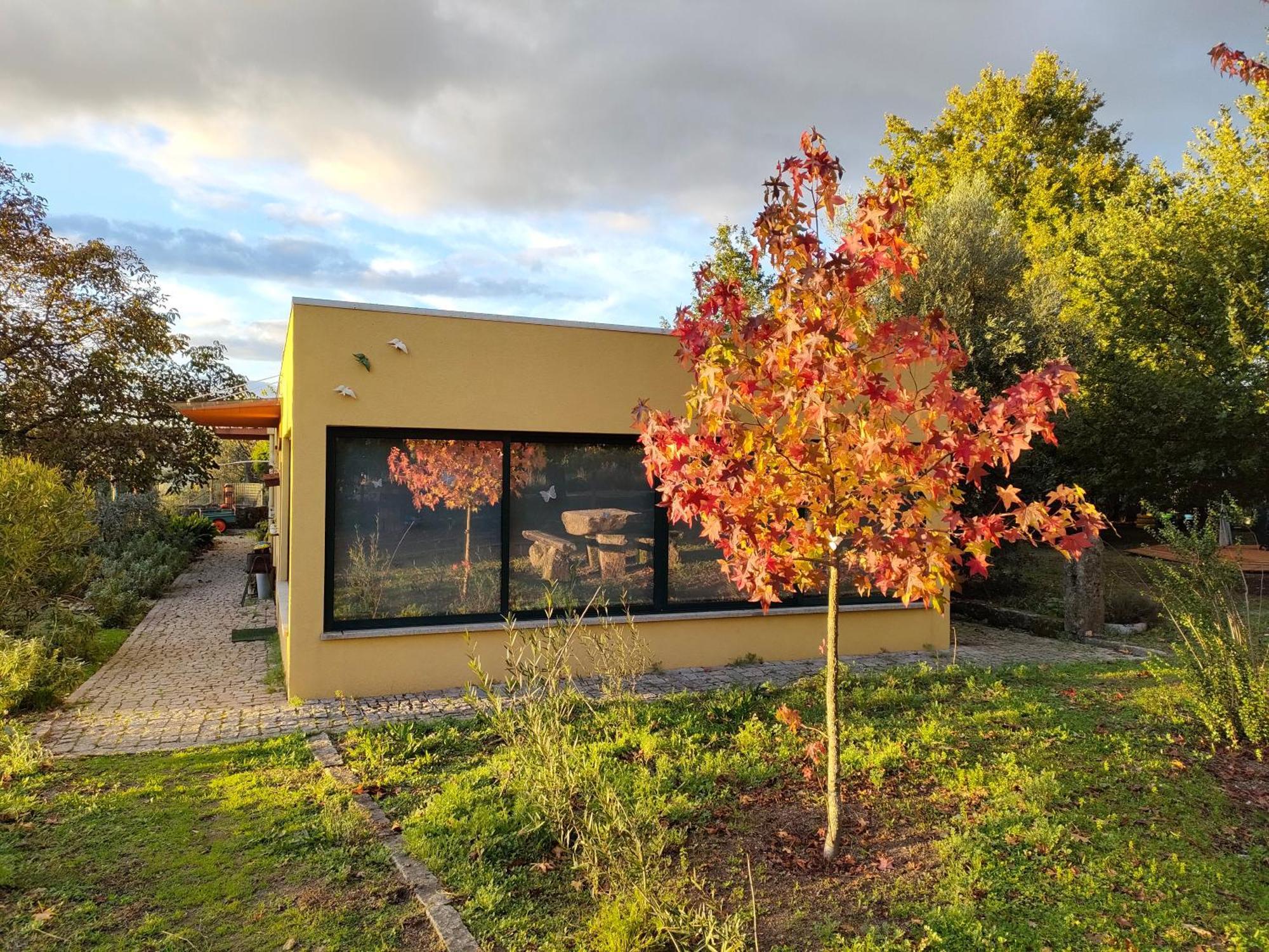 Casa Das Palmeiras-Pedagogic Farm Mangualde Rom bilde