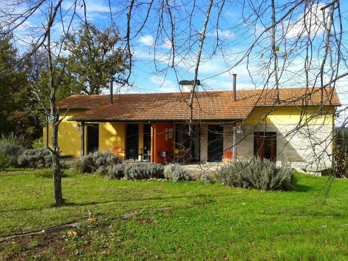 Casa Das Palmeiras-Pedagogic Farm Mangualde Eksteriør bilde